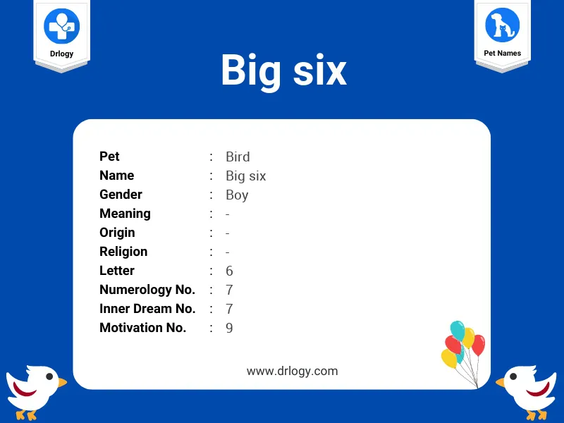 Big Six Name Meaning